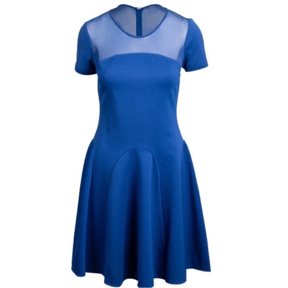 Halston Heritage  Fit & Flare Mesh Short Sleeve A-Line Mini Dress